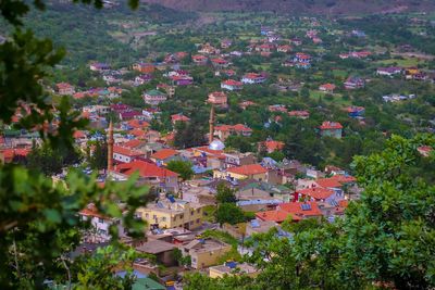 High angle view of houses and trees in town