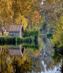 Reflection of trees in lake during autumn