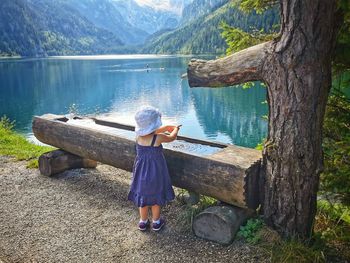 Rear view of woman by lake