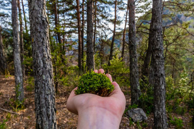 Close-up of woman holding moss against trees at forest