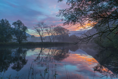 Reflection of trees on water at dusk