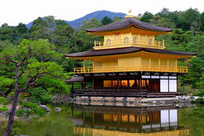 Golden temple ii, kyoto