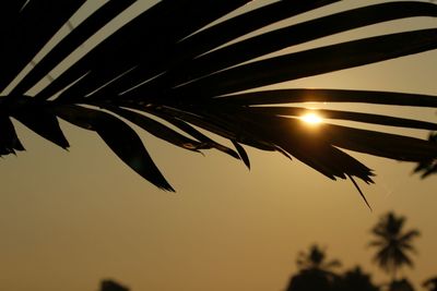 Low angle view of silhouette palm tree against sky