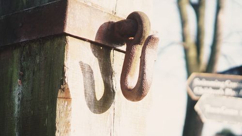 Close-up of metal hook on wall