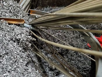 High angle view of snow on plant