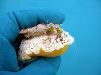 Close-up of person holding ice cream over blue background