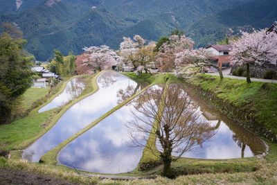 Scenic view of lake and mountains