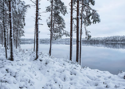 Scenic view of frozen lake against sky during winter