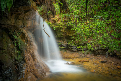 Scenic view of waterfall in forest
