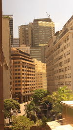 Buildings in city