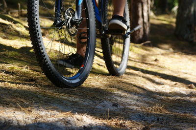 Low section of person riding bicycle in forest