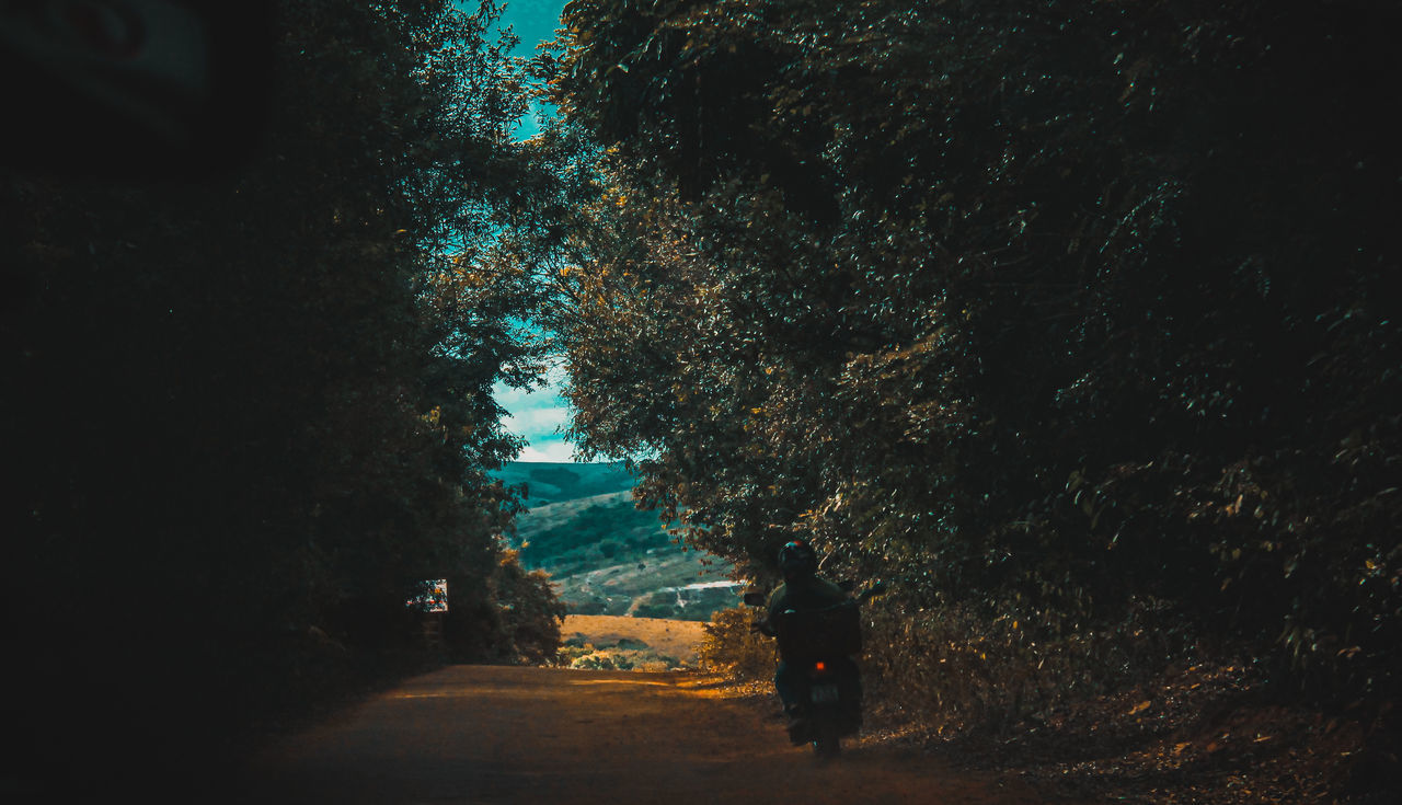 SIDE VIEW OF WOMAN STANDING AMIDST TREES