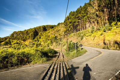 Shadow of person on road against trees and sky during sunny day