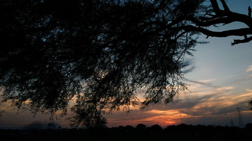 Low angle view of silhouette tree against sky at sunset