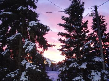 Snow covered trees against sky during sunset