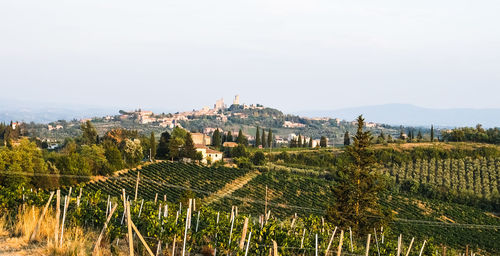 Panoramic shot of agricultural field against sky