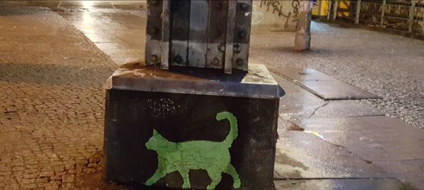 Close-up of snake on footpath by street in city