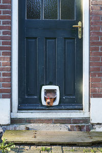 Closed door of old building