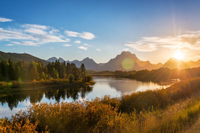 Scenic view of river by trees during sunset