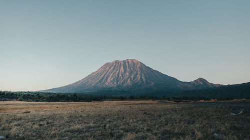 Scenic view of landscape against clear sky