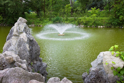 Scenic view of rocks in forest