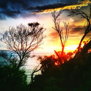 Silhouette bare trees against cloudy sky during sunset