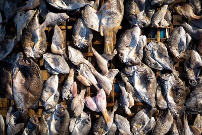 Full frame shot of fish for sale in market