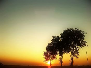 Silhouette of trees at sunset