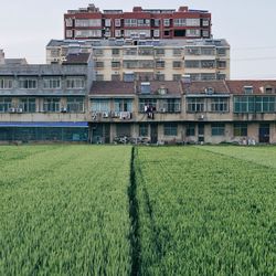 Buildings on field against clear sky