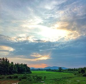 Scenic view of field against sky during sunset