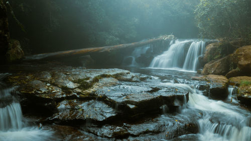 Scenic view of waterfall in forest