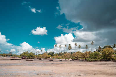 Tropical beach with rocks, lush vegetation on pemba island