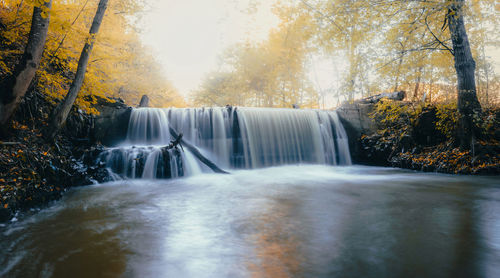 Waterfall in forest during autumn