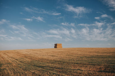 Scenic view of agricultural field against sky