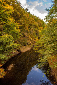 Scenic view of lake amidst trees in forest against sky