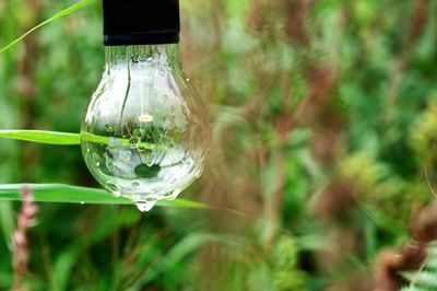 Close-up of water drop on grass