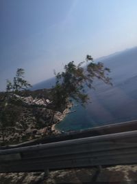 Close-up of tree against sky