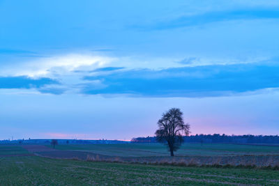sky