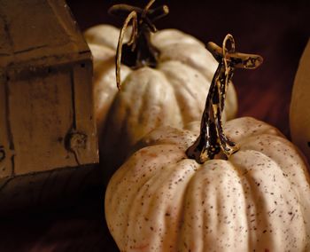 Close-up of pumpkins