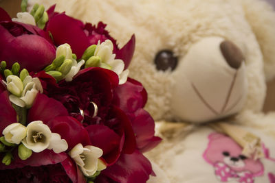 Close-up of multi colored roses
