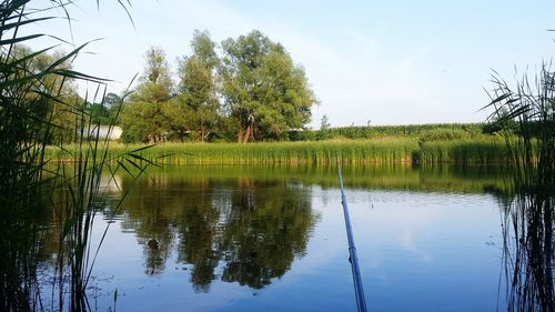 Reflection of trees in lake against sky