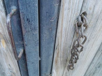 Close-up of wood