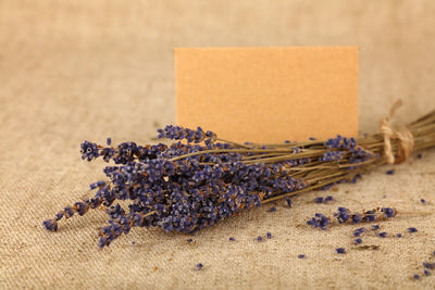 Close-up of lavender and envelope on table