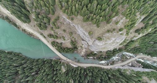 High angle view of plants on land