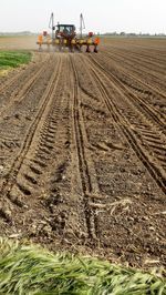 Tire tracks on agricultural field