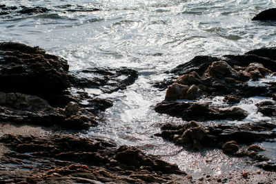 Waves splashing on rocks at shore