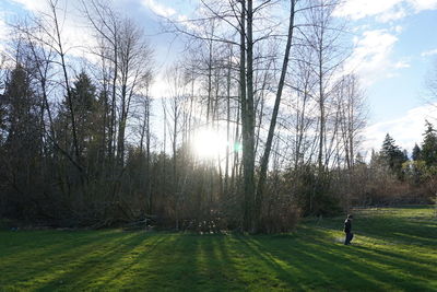 Man on field against trees in forest