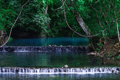 View of ducks swimming in lake