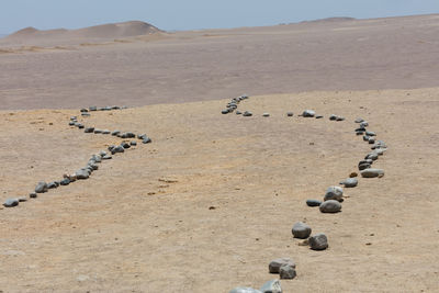 Aerial view of desert