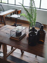 Close-up of potted plant on table